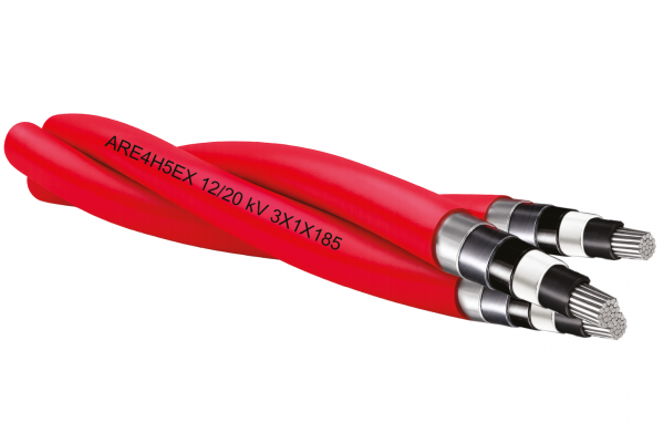 ARE4H5EX 12/20 kV